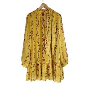 The Moon Chiffon Babydoll Dress